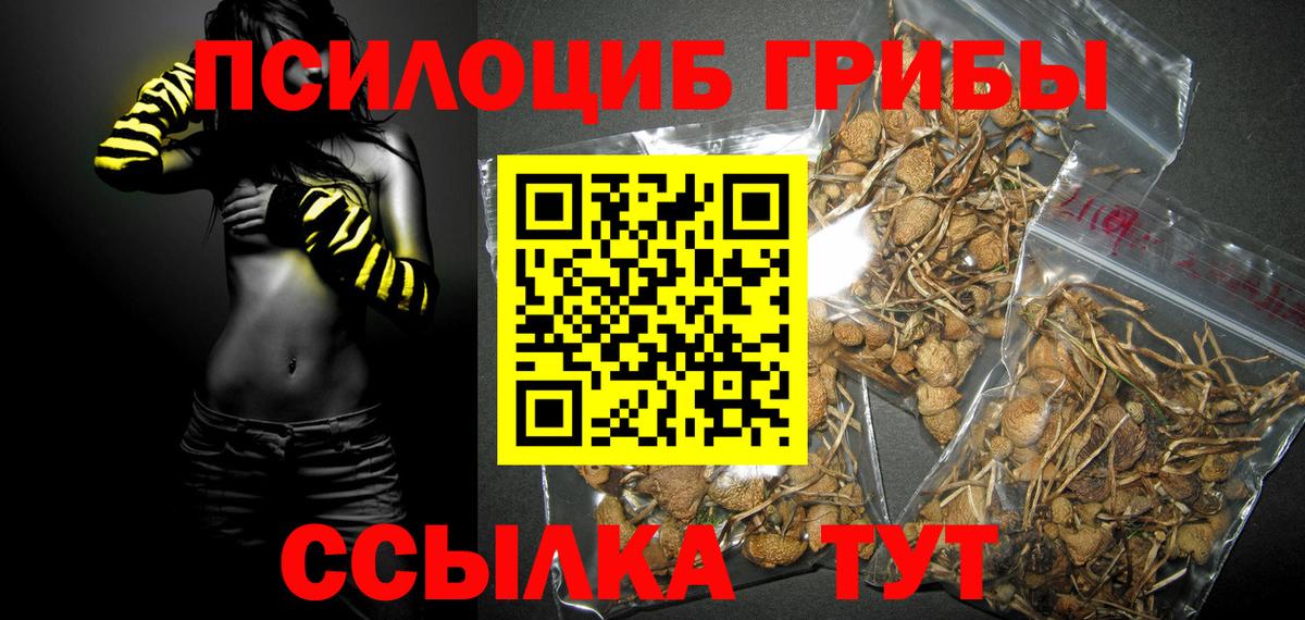 Мирный  Галлюциногенные грибы GOLDEN TEACHER  Псилоцибиновые грибы прущие грибы  Вход с VPN 